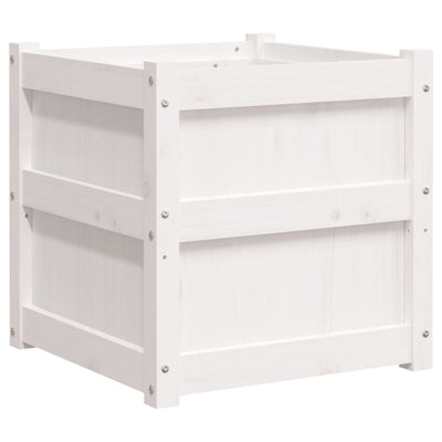 Casella di pianificazione Vidaxl 50x50x50 cm Pino solido bianco