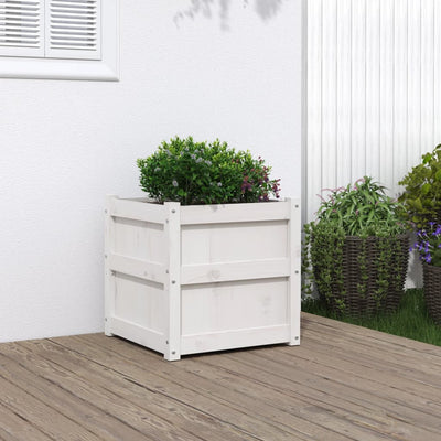 Casella di pianificazione Vidaxl 50x50x50 cm Pino solido bianco