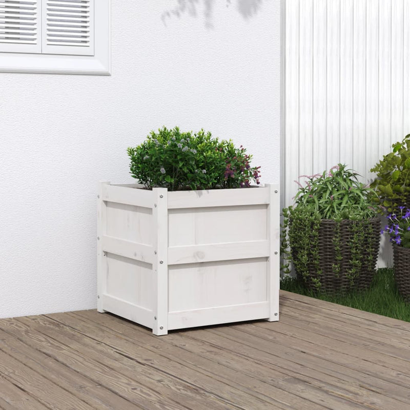 Casella di pianificazione Vidaxl 50x50x50 cm Pino solido bianco