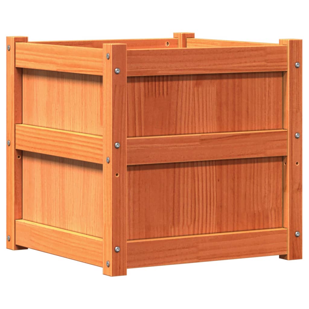 Fioriera Vidaxl 50x50x50 cm Pinna solido marrone