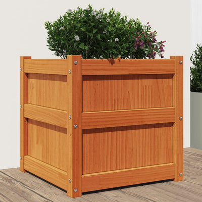 Fioriera Vidaxl 50x50x50 cm Pinna solido marrone