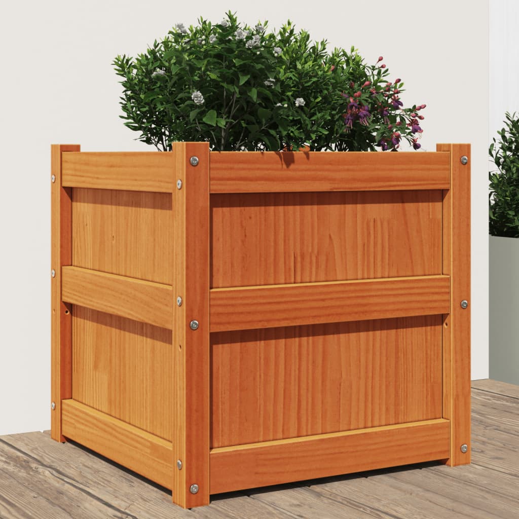 Fioriera Vidaxl 50x50x50 cm Pinna solido marrone