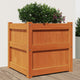 Fioriera Vidaxl 50x50x50 cm Pinna solido marrone