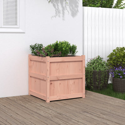 Casella di pianificazione Vidaxl 60x60x60 cm solido Douglashout