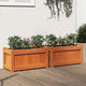 Vidaxl Fioterrs 2 PC CM Solid Pine Wash Brown