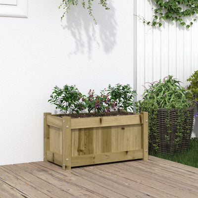 Casella di pianificazione Vidaxl 60x31x31 cm Pine impregnato