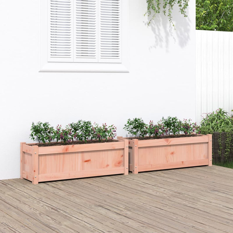 Vidaxl Plantadores 2 PCS Douglhout sólido
