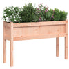 Plantadores Vidaxl con Legs 2 PCS Douglhout sólido