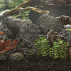 Vidaxl Lava pietre 10 kg 10-30 cm nero