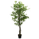 Vidaxl Kunstboom Ficus 756 Foglie di 150 cm verdi