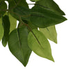 Vidaxl Kunstboom Ficus 756 Foglie di 150 cm verdi