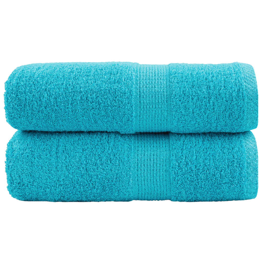 Vidaxl Wipes Solund 2 PCS 600 g m² 30x50 cm Turquoise