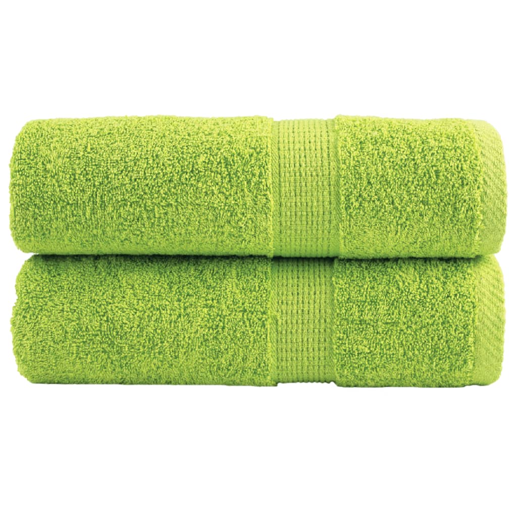 Vidaxl Guest Wipes Solund 2 pezzi 600 g m² 30x50 cm Apple verde