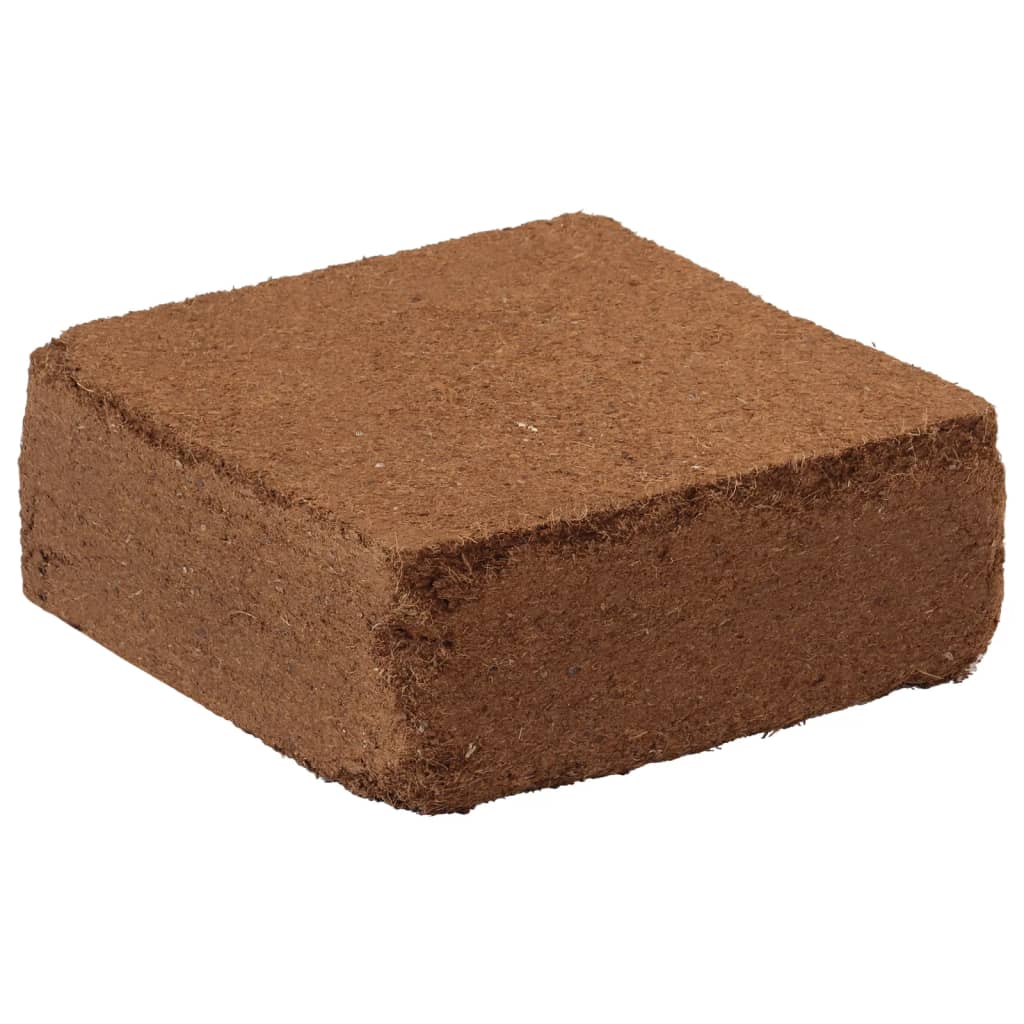 Vidaxl Coconut Coconut blocchi 5 St 5 kg ogni 25 kg in totale