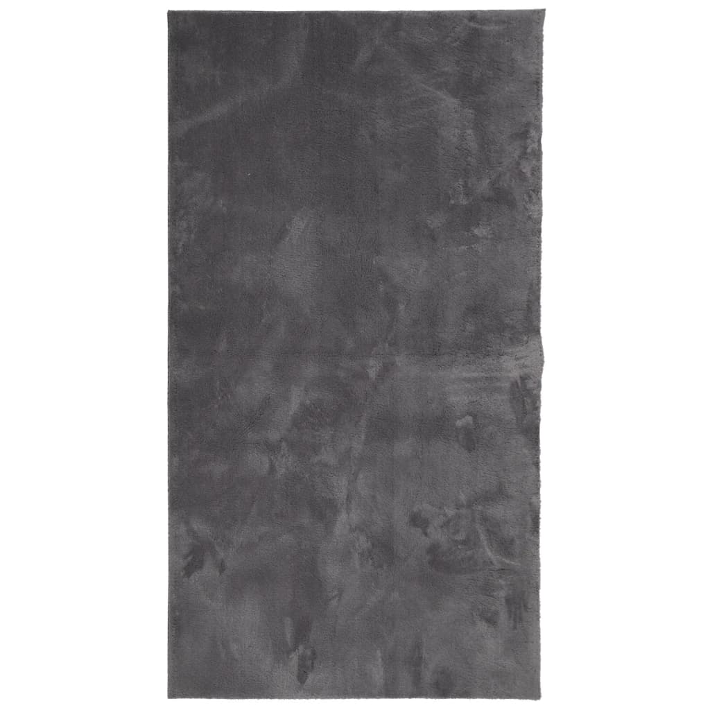 RUG VIDAXL HUARTE POLO BAJA Softable 60x110 cm antracita