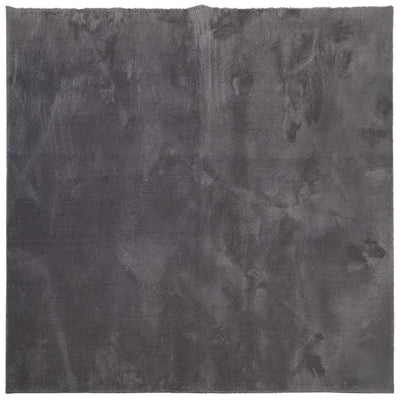 RUG VIDAXL HUARTE BAJA PILA Softable Lavable 120x120 cm antracita