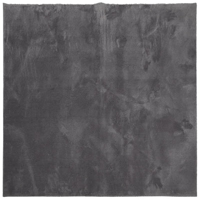 RUG VIDAXL HUARTE POLO BAJA Softable lavable 240x240 cm antracita