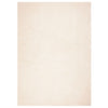 VIDAXL RUGH HUARTE LASSO -DIPLE SOLABILE MORSE 240X340 CM BEIGE