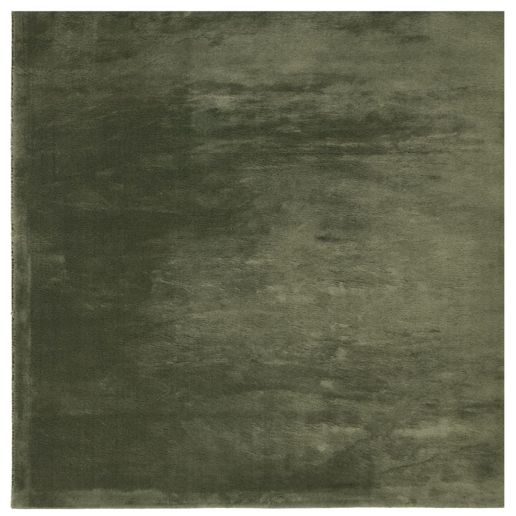 VIDAXL RUGH HUARTE LASSO -POLOLE BASHABILE MARDABILE 120X120 CM Green