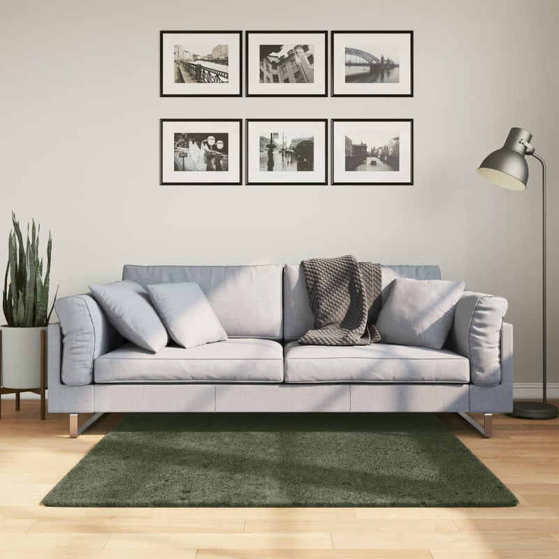 VIDAXL RUGH HUARTE LASSO -POLOLE BASHABILE MARDABILE 120X120 CM Green