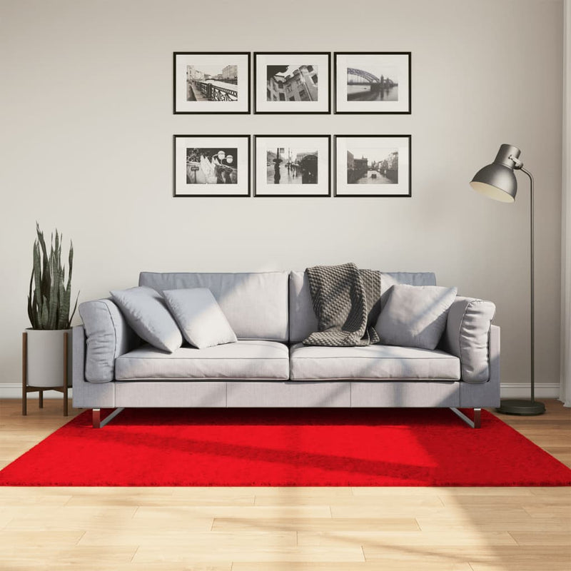 VIDAXL RAG OVIDO basso -pile 120x170 cm rosso
