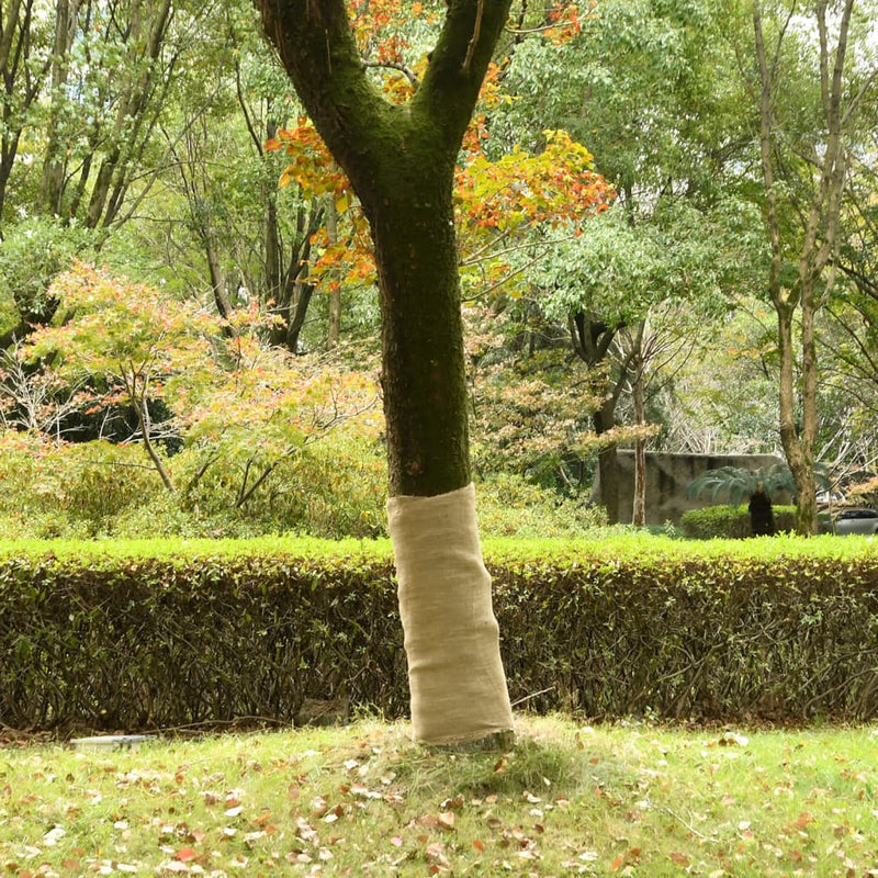 Vidaxl Jute Roll 200 g m² 1x5 m 100% iuta