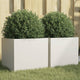 Plantadores Vidaxl 2 ST 32X30X29 CM de acero blanco