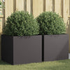 Plantadores Vidaxl 2 ST 49X47X46 CM ACERO RELOD DE ACERO NEGRO