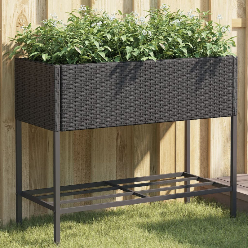 Vidaxl Plannet con Schap Poly Rattan Black
