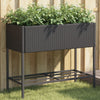 Vidaxl Plannet con Schap Poly Rattan Black
