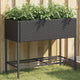 Vidaxl Plannet con Schap Poly Rattan Black