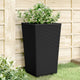 Vidaxl Fioter 2 St 32.5x32.5x57 cm Polypropene Black