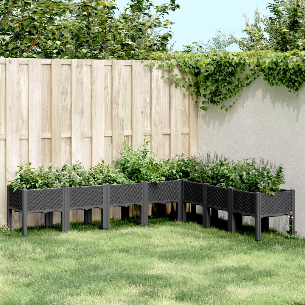 Fioriera Vidaxx con gambe 200x160x42 cm in polipropilene nero