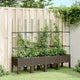 Vidaxl Planning Box con SLAT 160x40x142.5 cm de polipropeno marrón