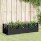Vidaxl Planning Box con pines 123.5x43.5x43.5 cm Polipropeno negro