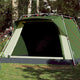 Vidaxl Camping Tenda Quick Release 4 persone Green