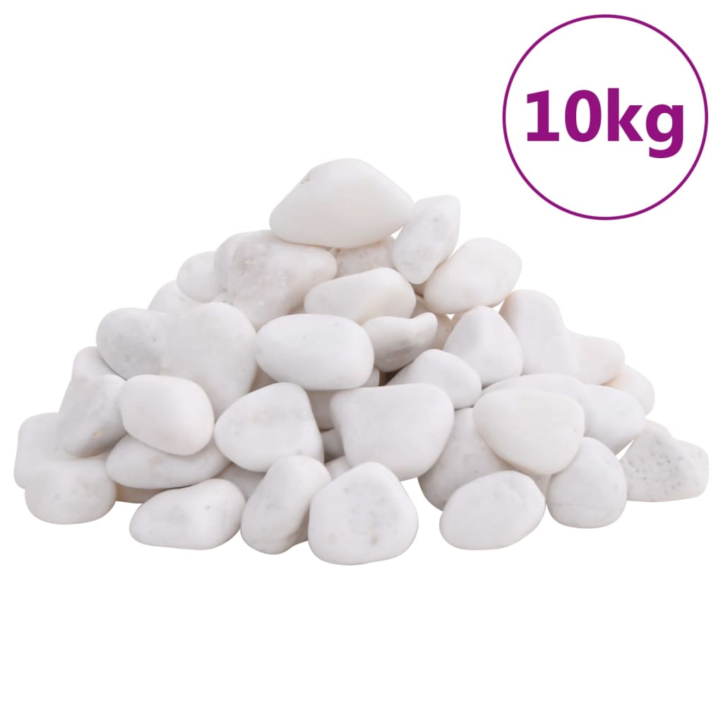 Vidaxl ciottoli lucidi 2-5 cm 10 kg bianco