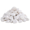 Vidaxl kiezelstenen gepolijst 2-5 cm 10 kg wit