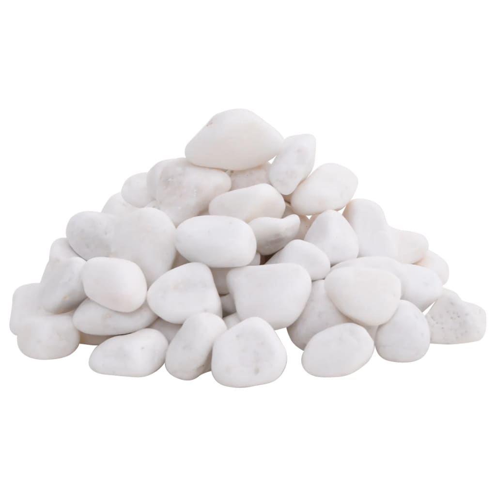 Vidaxl ciottoli lucidi 2-5 cm 10 kg bianco