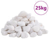 Vidaxl ciottoli lucidi 2-5 cm 25 kg bianco