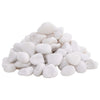 Vidaxl ciottoli lucidi 2-5 cm 25 kg bianco