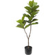 Pianta artificiale ficus altre marche 60x155 cm verde