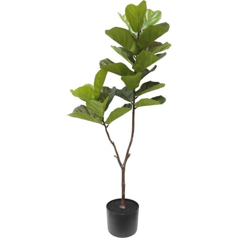 Pianta artificiale ficus altre marche 60x155 cm verde