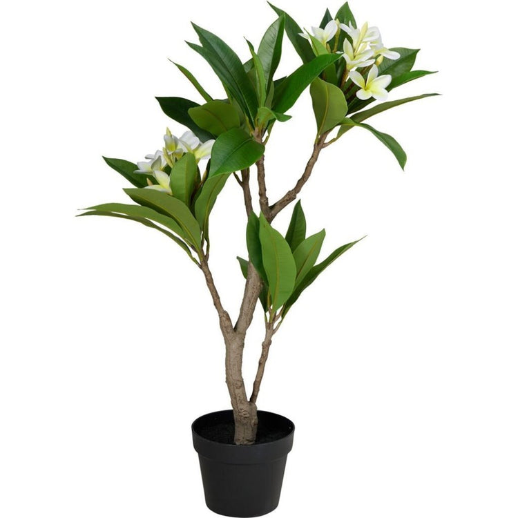 Pianta artificiale plumeria altre marche 50x90 cm bianco verde