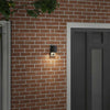 Vidaxl buiten wandlamp zwart 6,5 x 10,5 x 16 cm rvs en glas