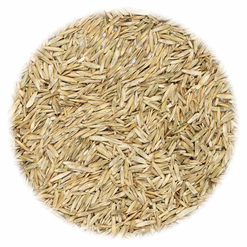Semilla de hierba de Vidaxl 5 kg