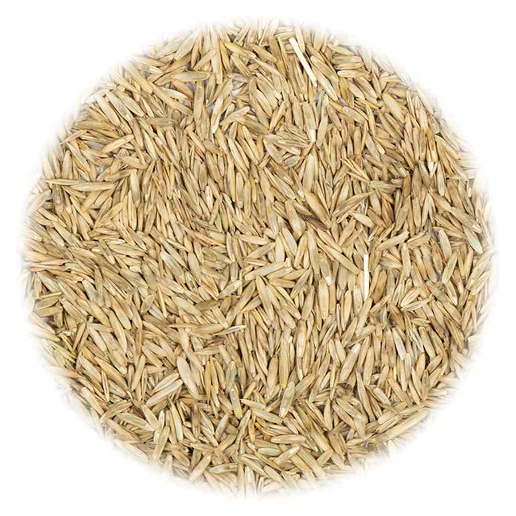Semilla de hierba de Vidaxl para sequía y calor 5 kg