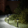 Vidaxl Garden Path Lighting 12 St Solar con perni di terra Bianco