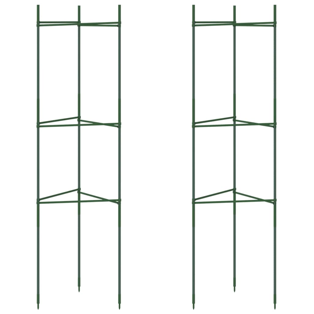 Vidaxl Tomato Cage 2 St 116 cm in acciaio e polipropene