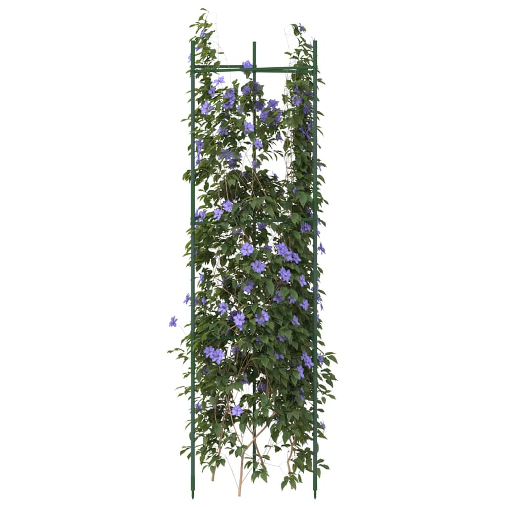 Vidaxl Tomato Cage 2 St 116 cm in acciaio e polipropene